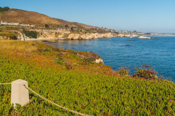 istock Pismo Beach coastline with green cliffs and rugged shores 2170065463