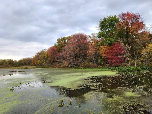 istock Autumn at the Meadow 2170071835
