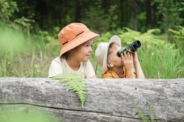 istock Small children are exploring the forest, looking through binoculars from the shelter. 2170078333
