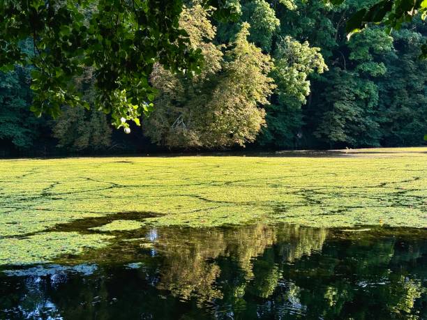 istock Edge of the Loire 2170086045