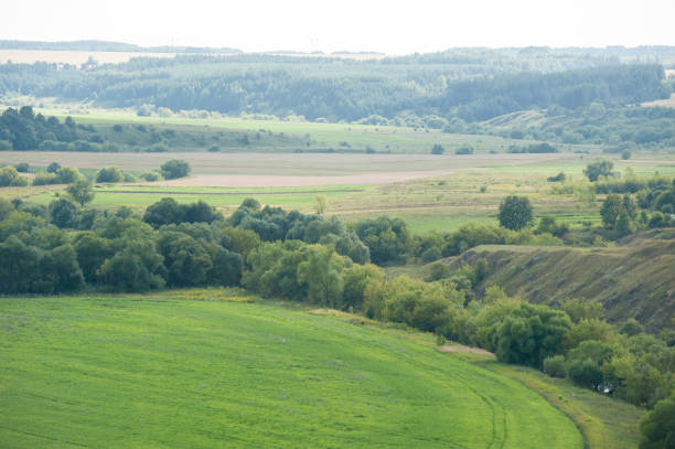 A beautiful riverbank with a green field and trees landscape