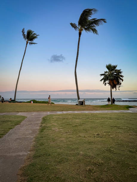 Poipu Beach State Park with palm trees, Kauai, Hawaii, USA at sunset against blue sky