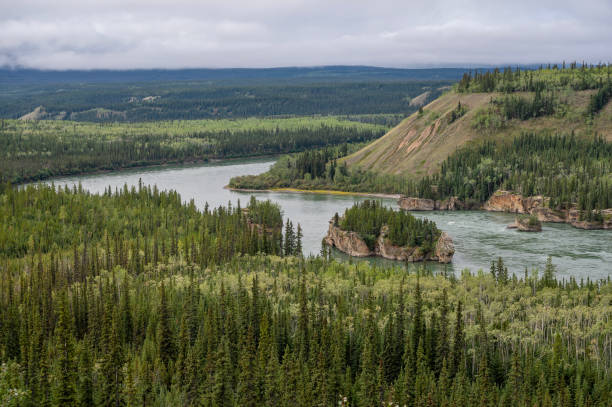 istock Five Finger Rapids on the Yukon River 2170100034
