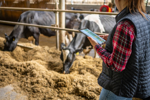istock Tech-Savvy Female Farmer Managing Livestock 2170103273