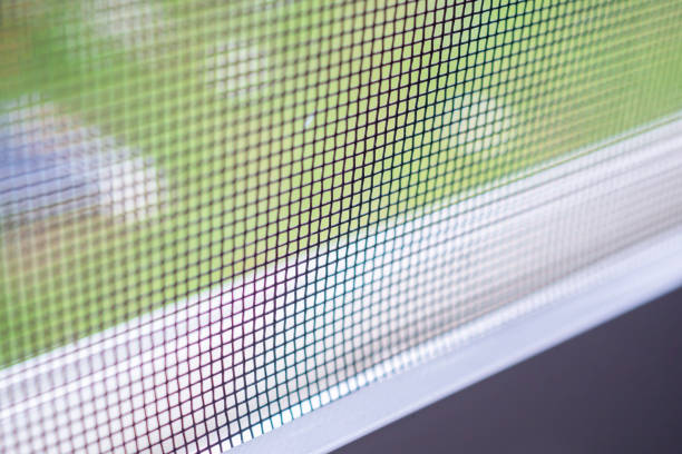 istock mosquito net wire screen on house window protection against insect 2170104422