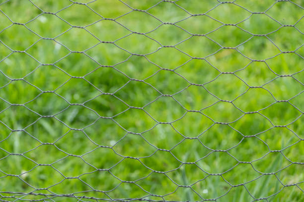 The intricate, hexagonal pattern of chicken wire, commonly used for securing poultry or creating garden boundaries. This mesh, typically made from galvanized steel, provides a durable and flexible barrier. The wire is twisted and interwoven to create a strong, stable structure while maintaining visibility and airflow. Green grass in an agricultural setting is blurred out in the background.