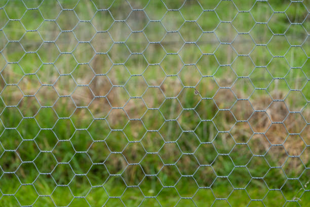istock A close-up view of hexagonal-shaped chicken wire used as a protective fencing material with blurred green grass in the distance 2170104537