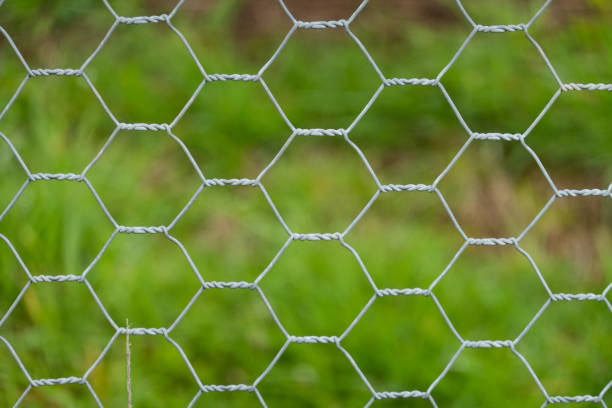 istock A close-up view of hexagonal-shaped chicken wire used as a protective fencing material with blurred green grass in the distance 2170104541