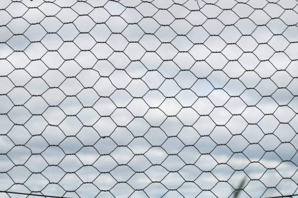 istock A close-up view of hexagonal-shaped chicken wire used as a protective fencing material with blurred cloudy overcast sky in the distance 2170104543