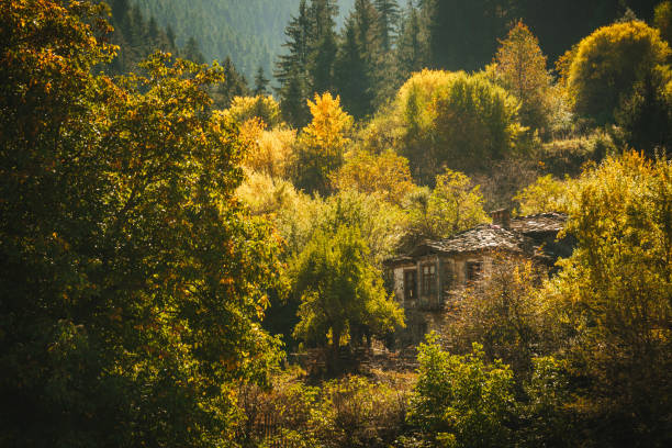 Authentic Bulgarian stone house in Zlatograd town.