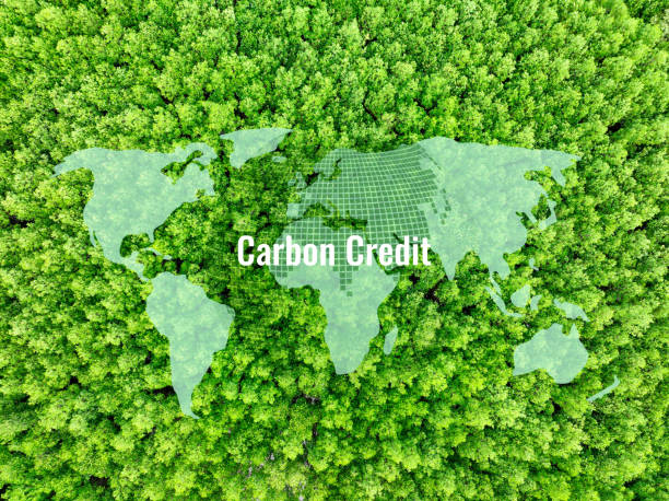 istock Carbon credit concept. Globe and world map above green mangrove forest. Natural carbon sinks. Mangrove trees capture CO2 in blue carbon ecosystems, mitigating global warming. Green ecosystem. 2170110119