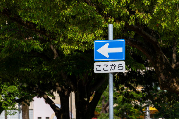 Japanese road sign with arrow meaning one way