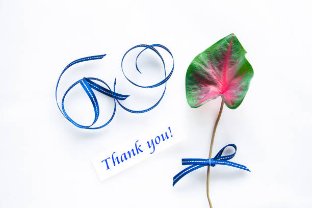 Thank you card with caladium leaf and ribbon.