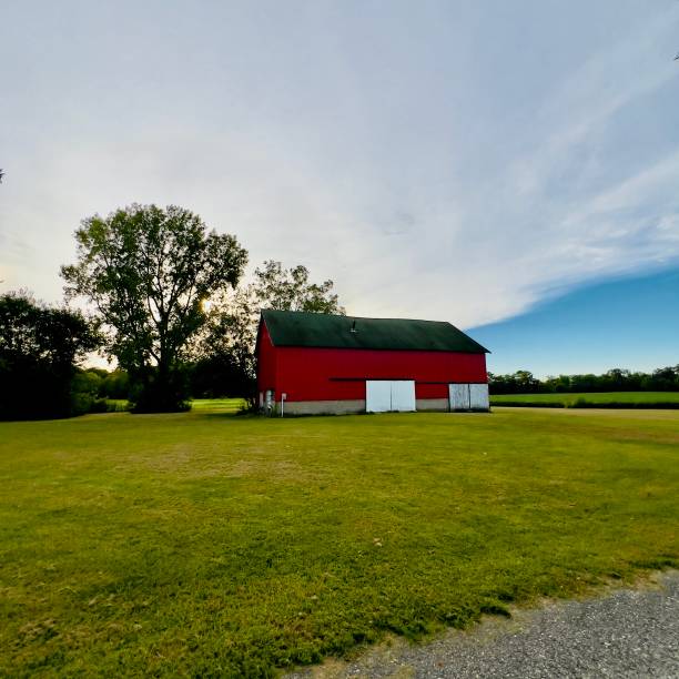 istock Red barn in field at dusk with blue cloudy sky. 2170113337