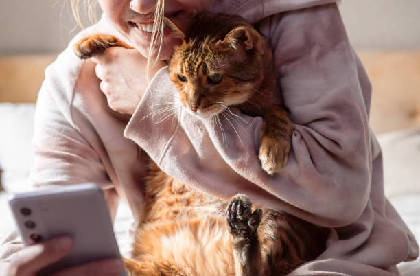 istock Woman making video call while holding a cat. Relaxation and companionship at home. 2170114708