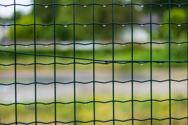 Raindrops on Metal Mesh Fence with Blurred Background