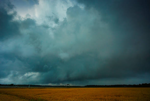Tornadic clouds are gathering over an extensive field, creating a dramatic and intense weather scene