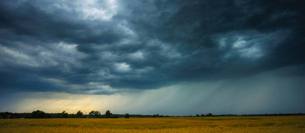 istock Dramatic storm clouds over wheat field, creating threatening atmosphere in countryside 2170120441