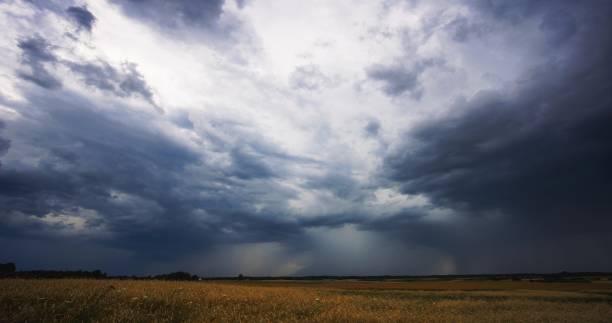 istock Dramatic storm clouds over wheat field, creating threatening atmosphere in countryside 2170120465