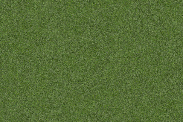 istock Green grass texture. Field of green grass 2170122391
