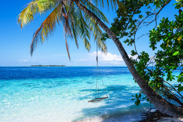istock Maldivian tropical paradise beach 2170125610