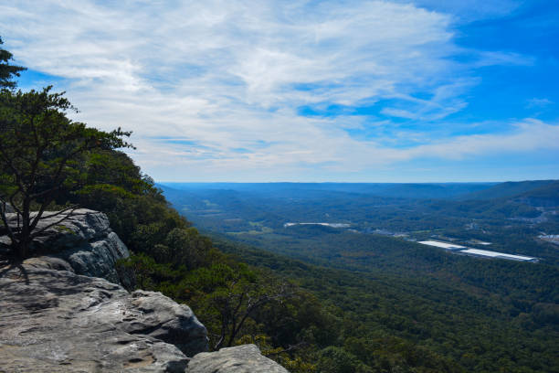 View from Sunset Rock in Chattanooga, TN. Trees, rocks, and a blue sky fill the picture.