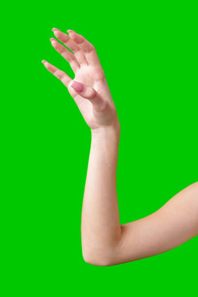 istock Female Hand Making Gesture Against Green Screen 2170127240