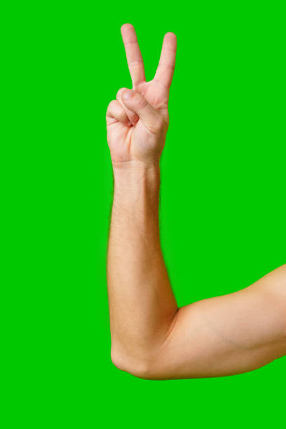 istock Hand Gesture of Peace Made Against a Bright Green Background 2170127367