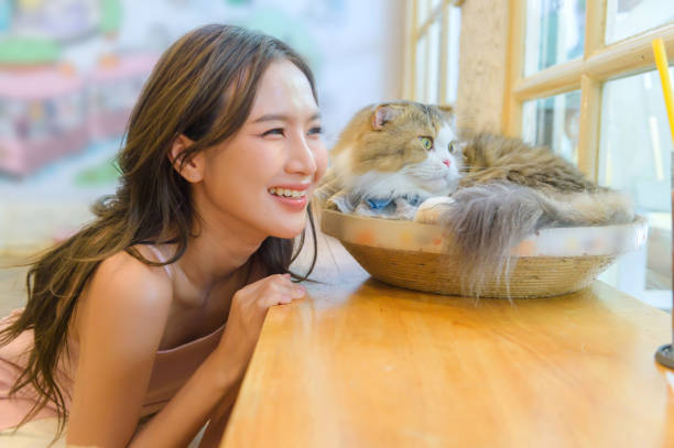istock cat with woman 2170127796