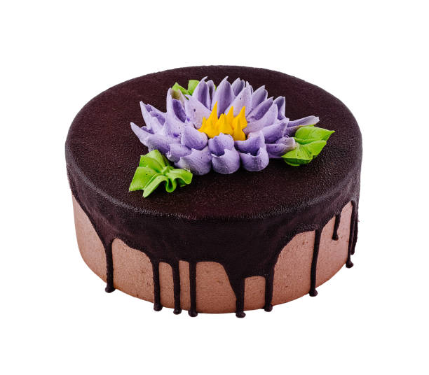Chocolate cake with dripping chocolate icing decorated with buttercream flower isolated on white background
