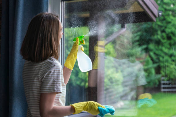istock SA woman spraying detergent on a window pane 2170134003