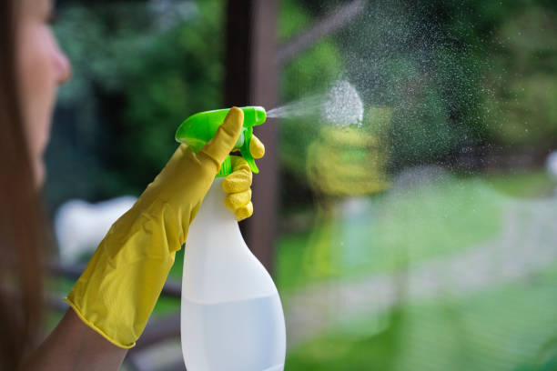 istock Window cleaning. A woman spraying detergent on a window pane 2170134158