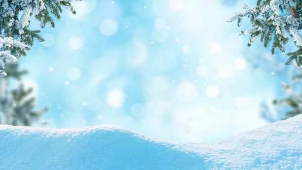 istock Winter Christmas background with fir tree branch and cones 2170134713