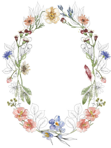 istock Watercolor and liner meadow flowers and grass wreath illustration, hand drawn floral frame clipart 2170136019