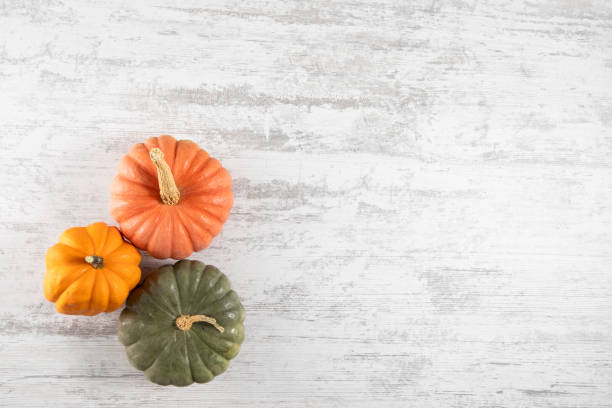 istock Miniature Pumpkins for Thanksgiving and Autumn Background 2170140210