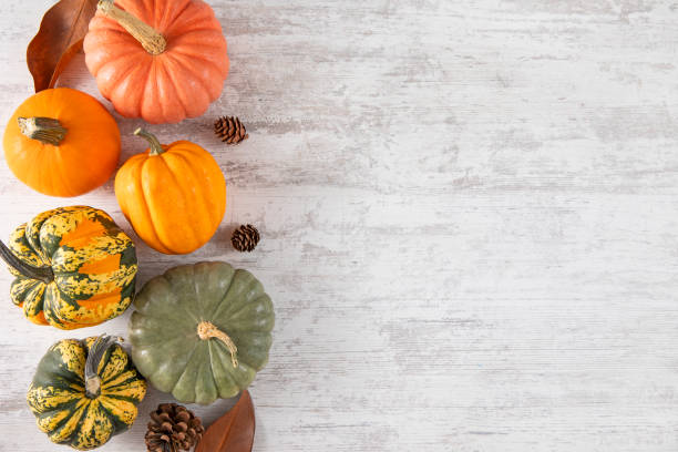 istock Thanksgiving and Autumn Background 2170141134