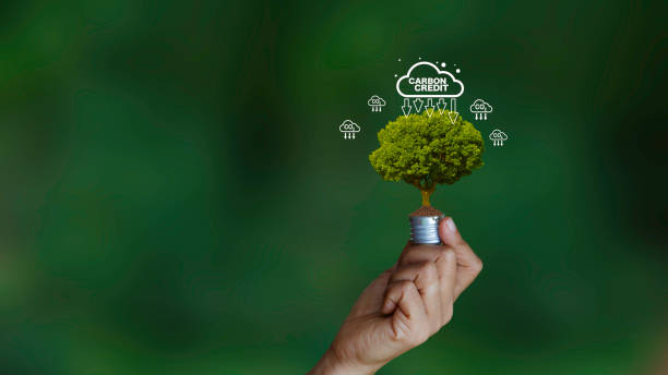 Carbon fixation fights nature. Carbon credit market and net zero exchange trading concept . carbon footprint to limit global warming and climate change. Net zero and green renewable energy.