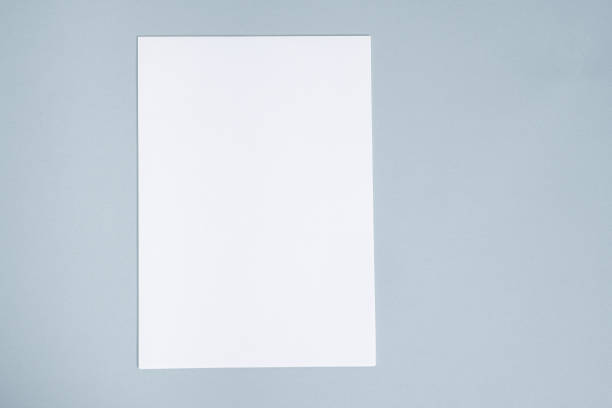 Human hand holding blank paper on white background