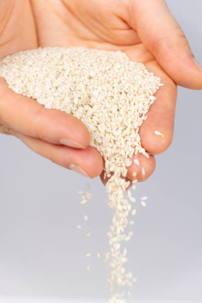 istock Hands pouring white sesame seeds on gray background 2170144847