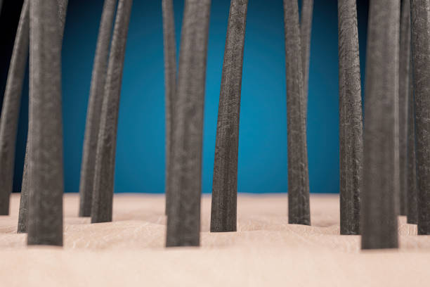 Strands of Human Hair Under the Microscope. 3D Render
