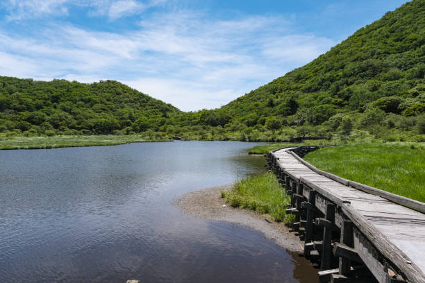 istock The marshland area on Mount Akagi 2170149314