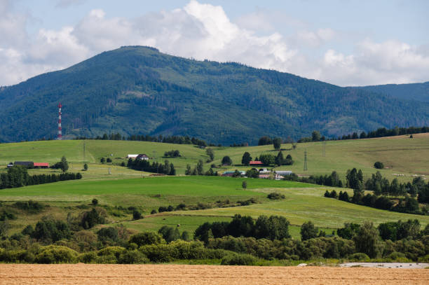 The orange sunset and its rays dazzle the green forests and meadows