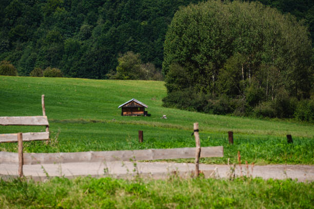 A peaceful countryside home sits in the middle of rolling green hills, surrounded by trees and a dense forest. The tranquil rural setting includes a small barn and a fenced area, offering a picturesque view of nature and country life.