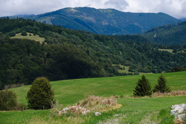 A scenic view of a mountain landscape featuring dense green forests and an open meadow nestled within the trees. The surrounding hills and cloudy sky create a peaceful and natural environment.
