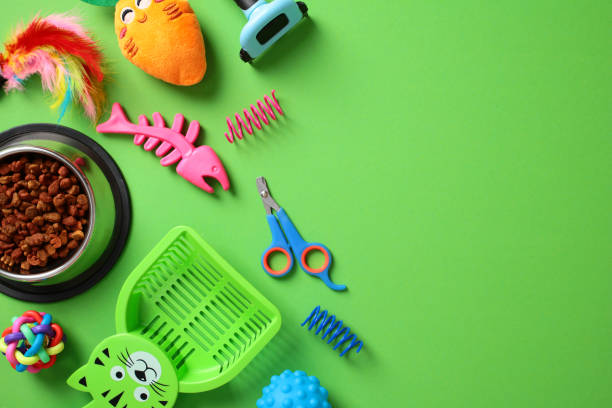 istock Bright array of essential pet supplies on green backdrop. Perfect for articles on pets daily needs and care tips 2170150111