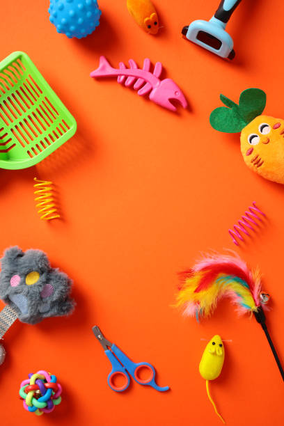 istock Pet care supplies on orange vertical background. Flat lay, top view. 2170150565