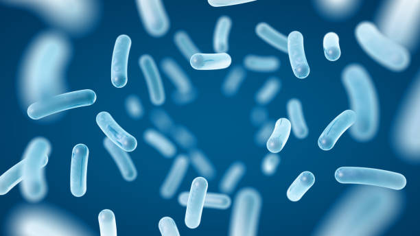 istock Probiotics. Restoring the gut flora. Blue color. Lactobacillus. 2170154203