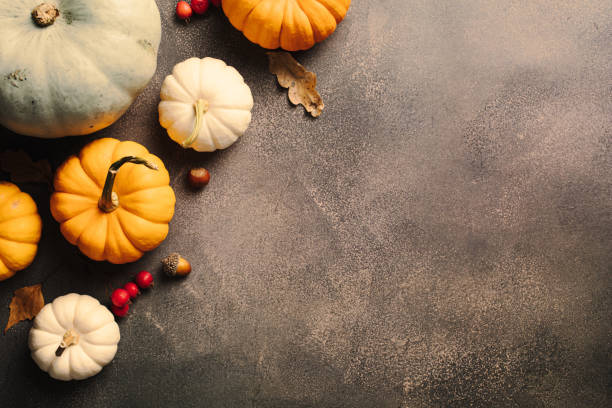 istock Assorted autumn pumpkins on a textured backdrop. Perfect for fall-themed projects, seasonal decor ideas, or Thanksgiving promotions 2170158268