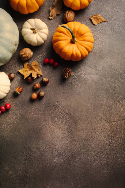istock Autumn flat lay composition with colorful pumpkins, leaves, nuts, and berries on a rustic background. Perfect for fall-themed projects 2170158308