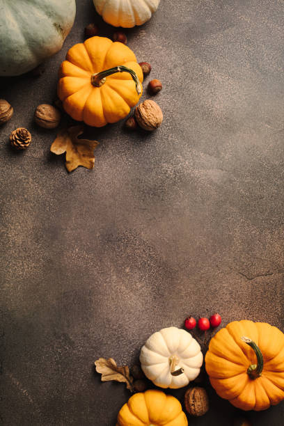 istock Autumn flat lay with pumpkins, nuts, and fall foliage on a grey textured backdrop. Ideal for fall designs 2170158393